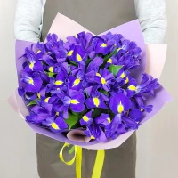 Монобукет из 19 ирисов